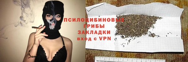 тгк Алзамай