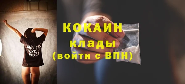 тгк Алзамай