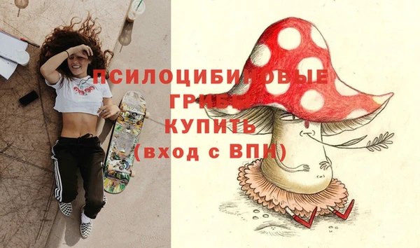 Альфа ПВП Алексеевка