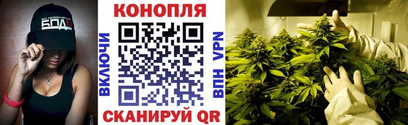 купить наркоту  Гаврилов Посад  Канабис VHQ 